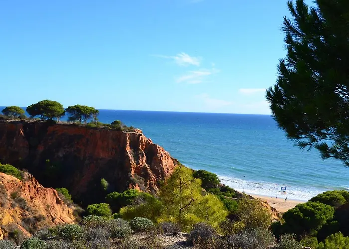 T0 Junto A De Vale Centeanes / Carvoeiro Daire Lagoa (Algarve)